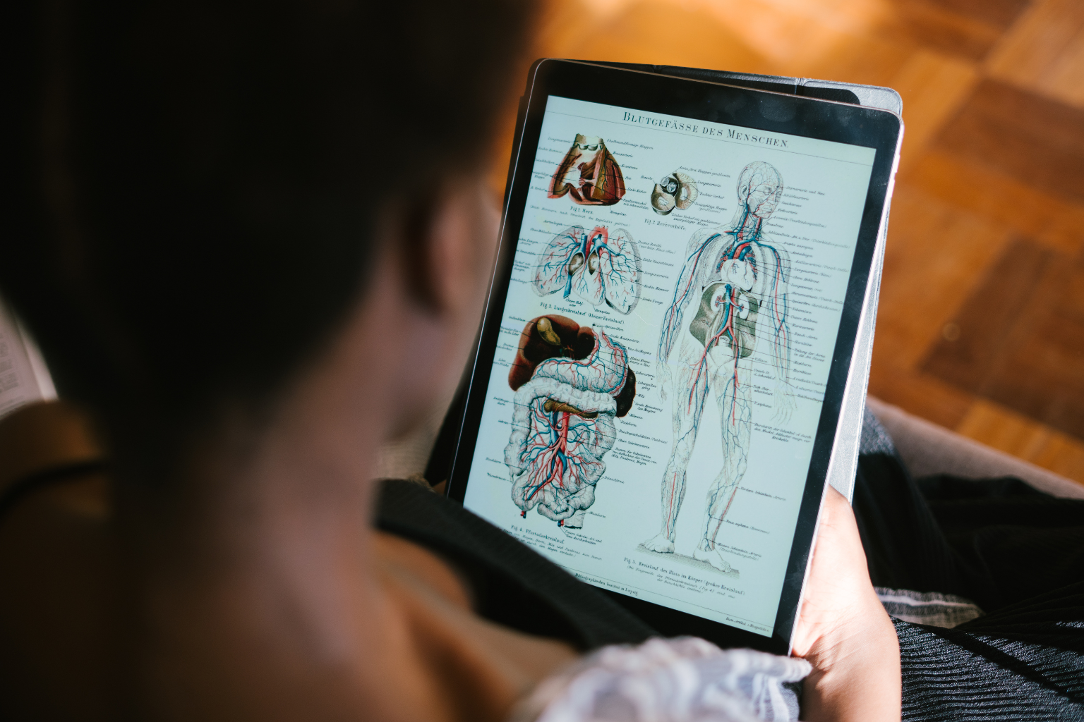 Osoba trzyma tablet, na którego ekranie wyświetlony jest kolorowy schemat anatomiczny ludzkiego ciała z układem krążenia oraz rysunkami narządów wewnętrznych, takich jak płuca, serce, żołądek i jelita